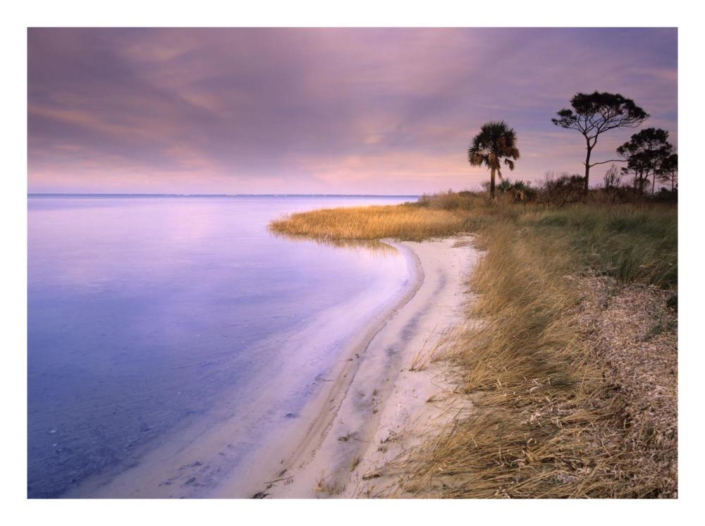 Beach along Saint Joseph's Bay, Florida-Paper Art-26"x20"