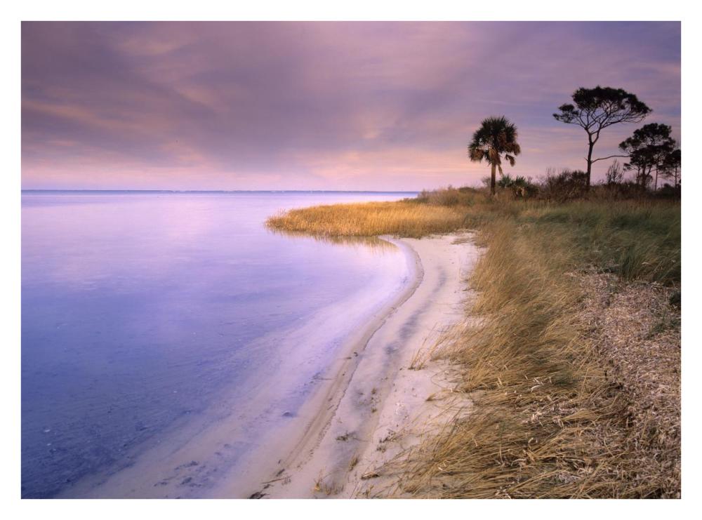 Beach along Saint Joseph's Bay, Florida-Paper Art-34"x26"