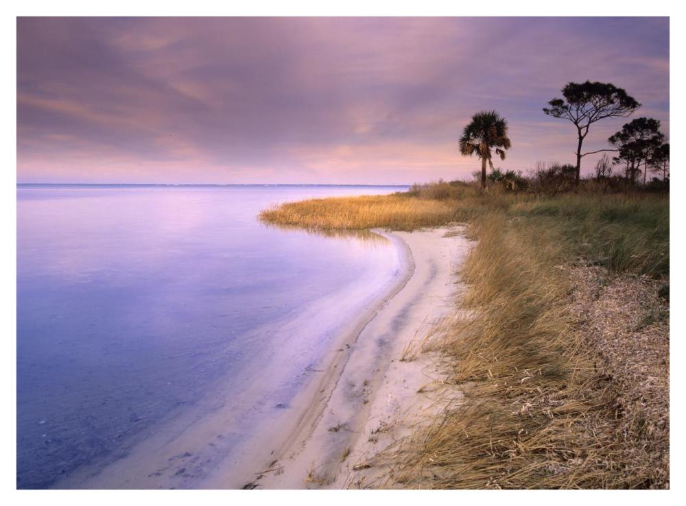 Beach along Saint Joseph's Bay, Florida-Paper Art-42"x32"