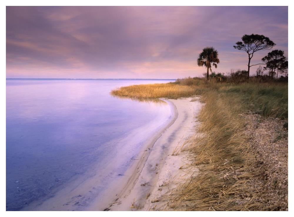 Beach along Saint Joseph's Bay, Florida-Paper Art-50"x38"