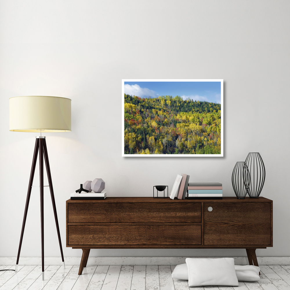 Fall colors, Chic-Chocs, Quebec, Canada-Paper Art-42&quotx32"
