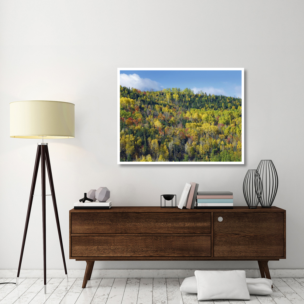 Fall colors, Chic-Chocs, Quebec, Canada-Paper Art-50&quotx38"