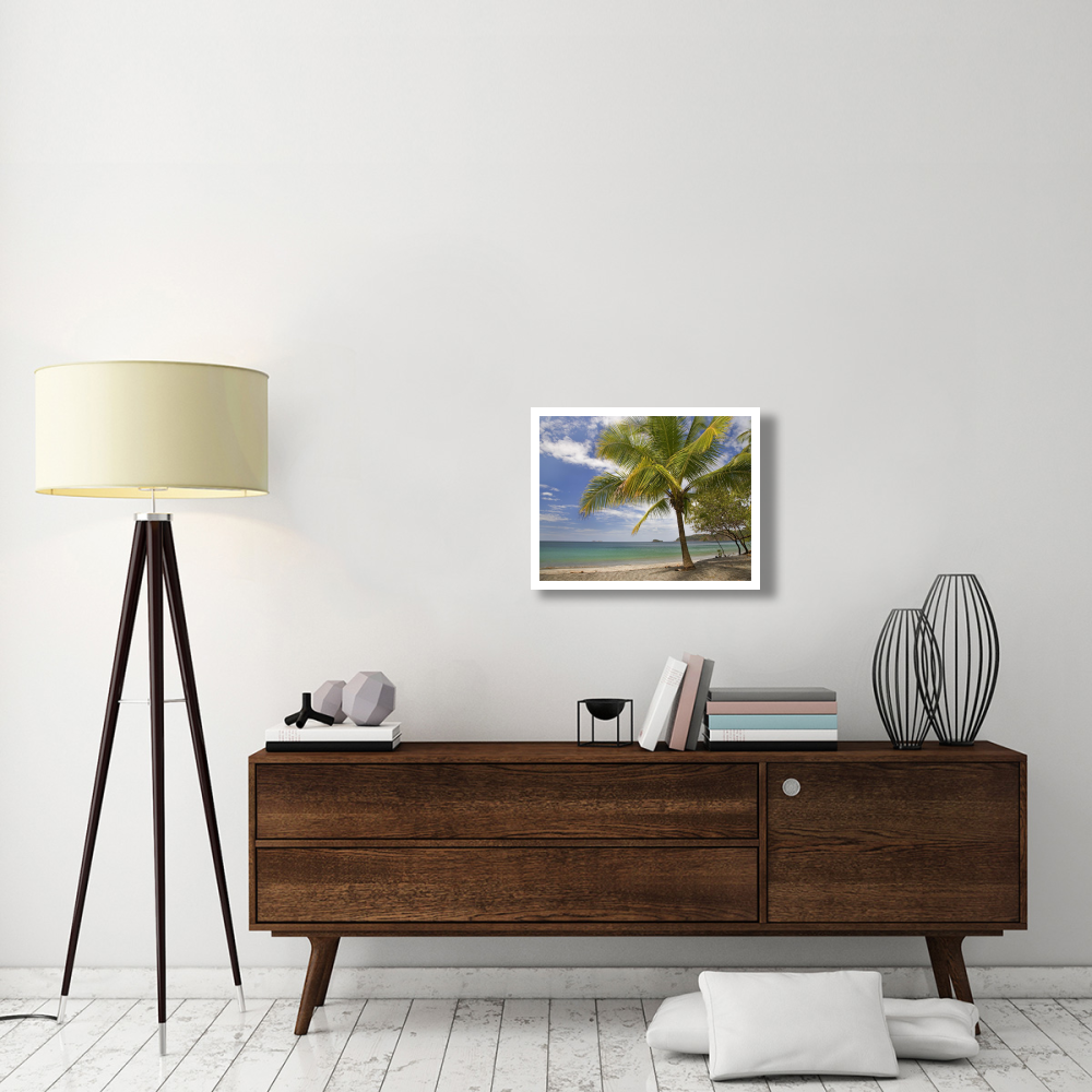 Palm trees line Penca Beach, Costa Rica-Paper Art-26&quotx20"