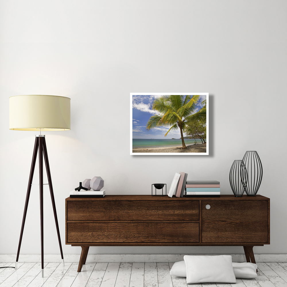 Palm trees line Penca Beach, Costa Rica-Paper Art-34&quotx26"