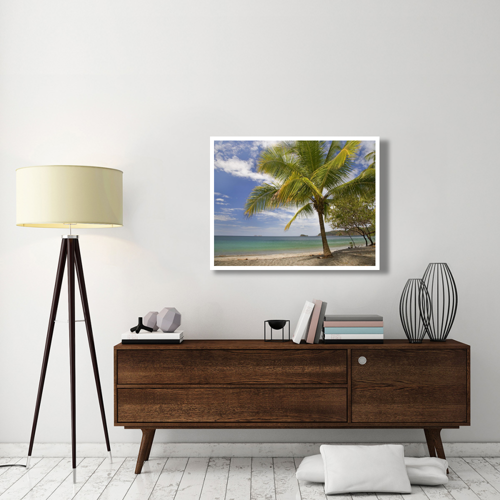 Palm trees line Penca Beach, Costa Rica-Paper Art-42&quotx32"