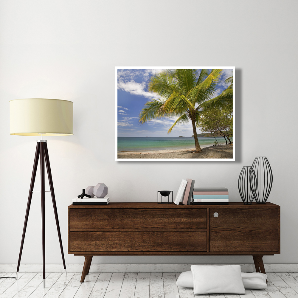 Palm trees line Penca Beach, Costa Rica-Paper Art-50&quotx38"