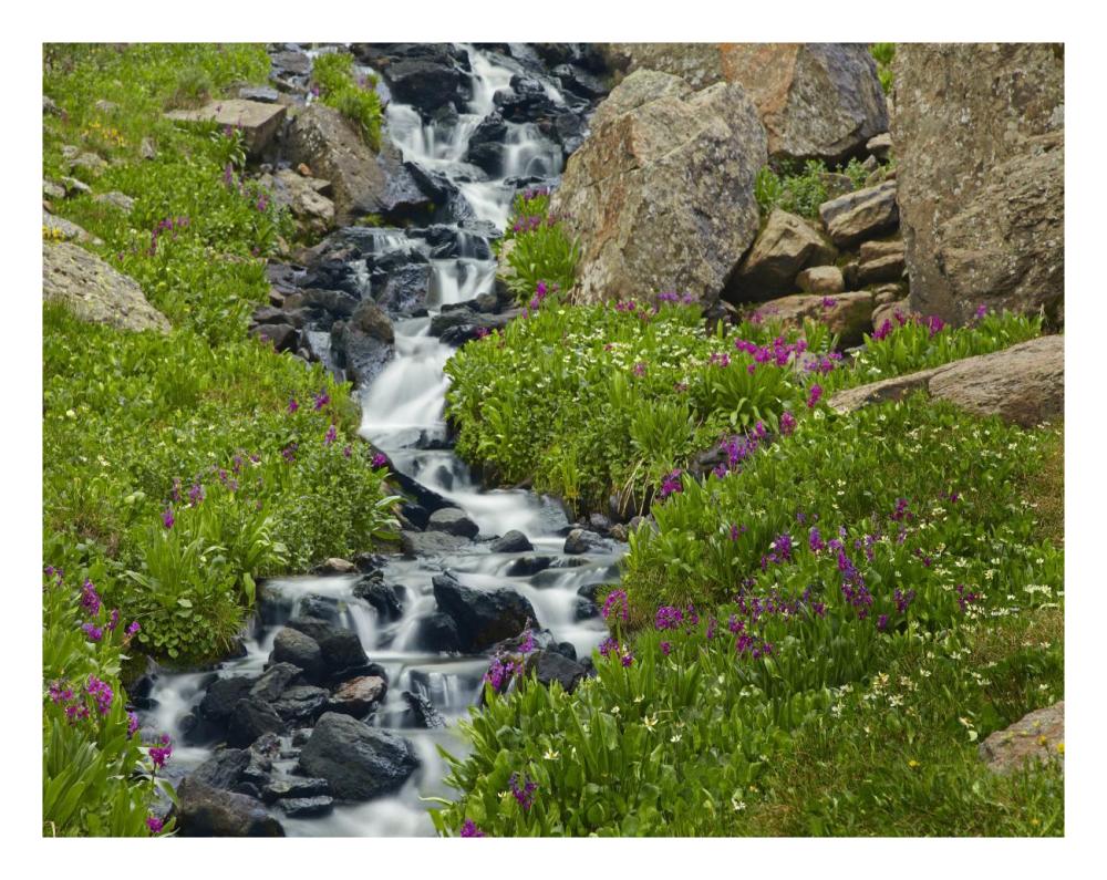 Porphyry Creek near Silverton, Colorado-Paper Art-26"x20"
