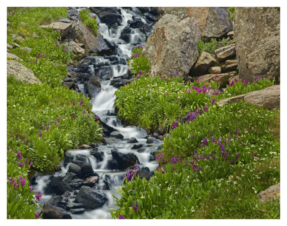 Porphyry Creek near Silverton, Colorado-Paper Art-42"x32"