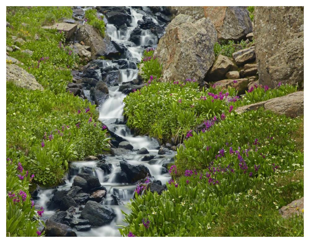 Porphyry Creek near Silverton, Colorado-Paper Art-50"x38"