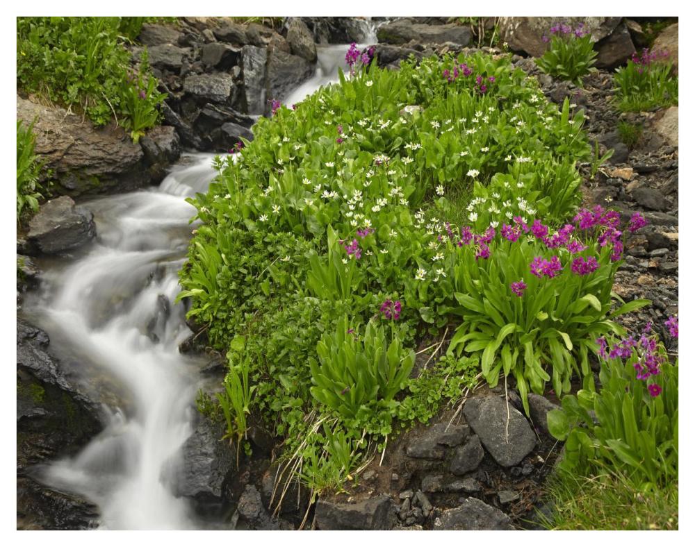 Porphyry Creek near Silverton, Colorado-Paper Art-42"x32"