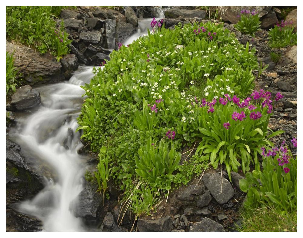 Porphyry Creek near Silverton, Colorado-Paper Art-50"x38"