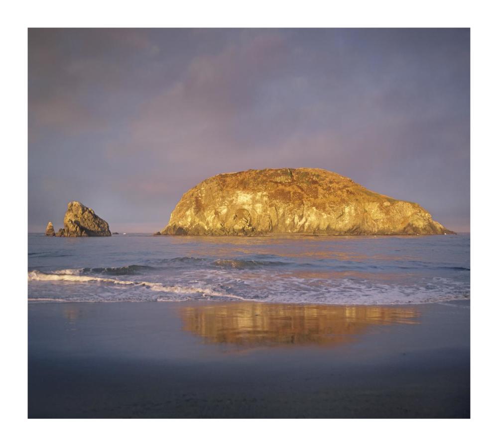 Island, Harris Beach State Park, Oregon-Paper Art-18"x16.24"