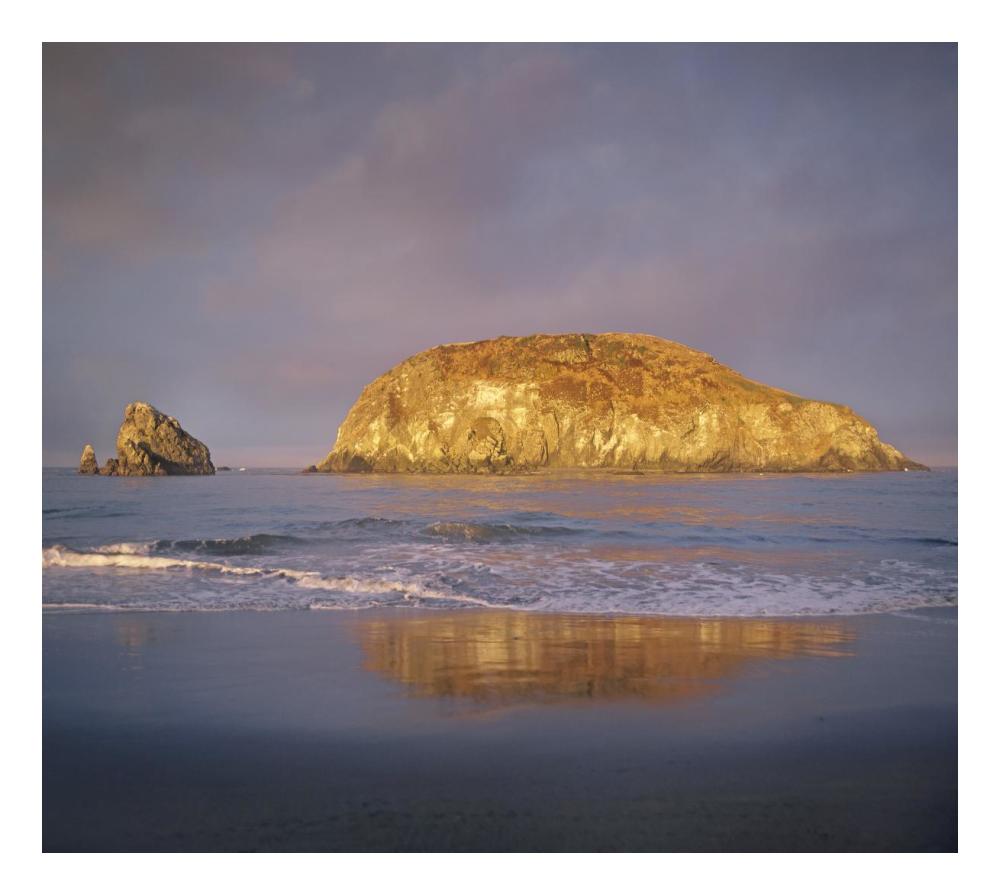 Island, Harris Beach State Park, Oregon-Paper Art-24"x21.58"