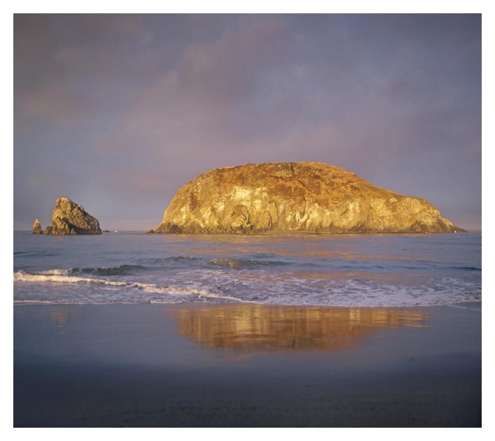 Island, Harris Beach State Park, Oregon-Paper Art-38"x34.04"