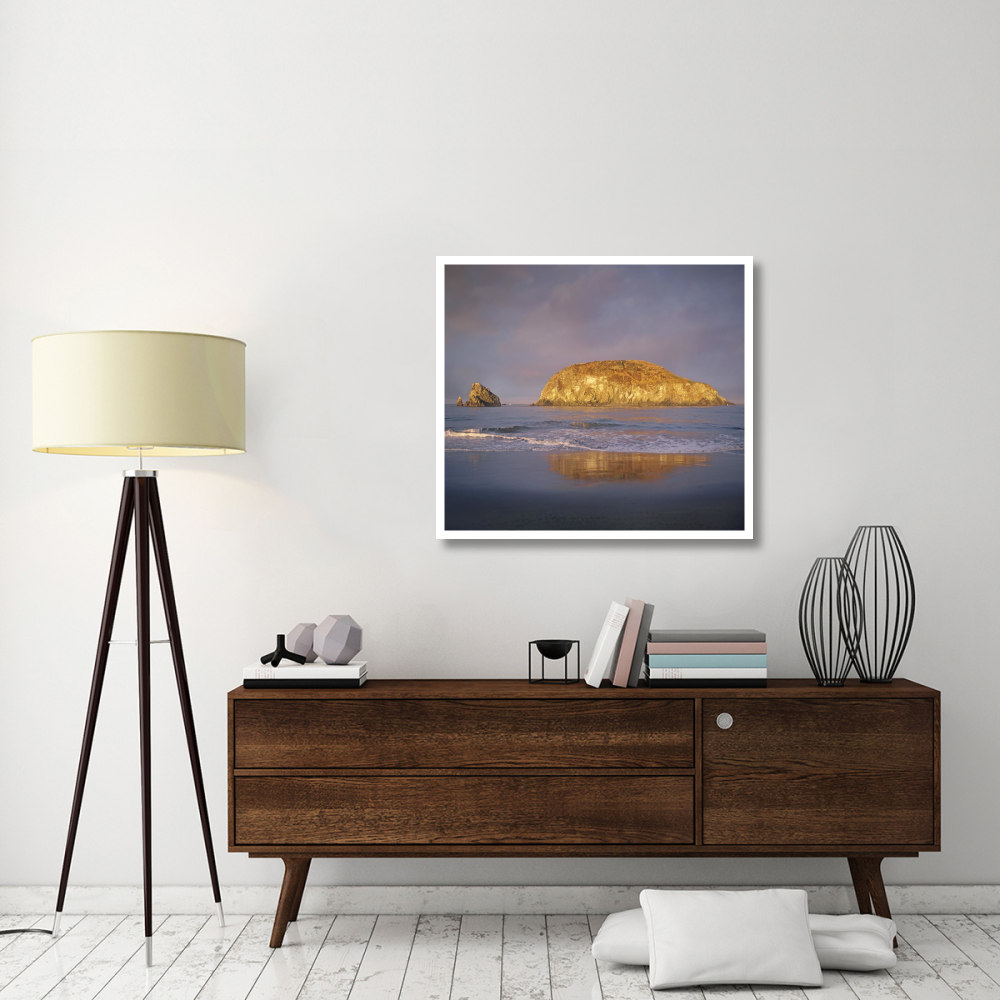 Island, Harris Beach State Park, Oregon-Paper Art-38&quotx34.04"