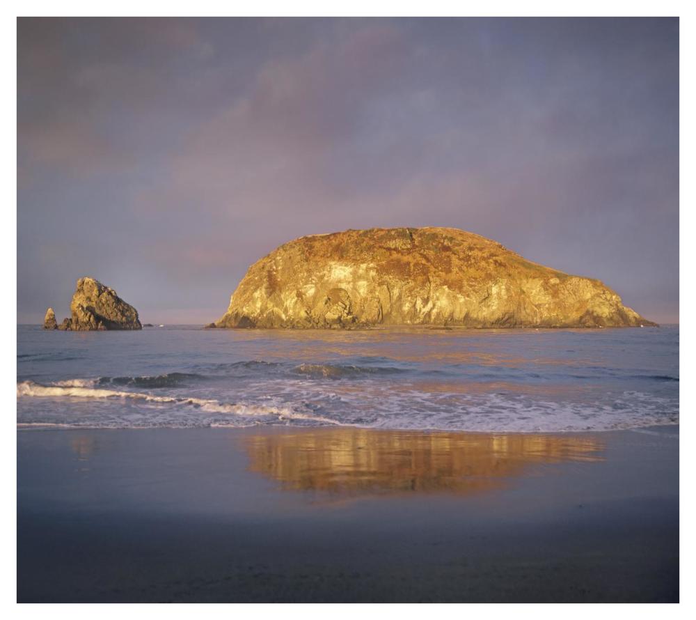 Island, Harris Beach State Park, Oregon-Paper Art-42"x37.6"