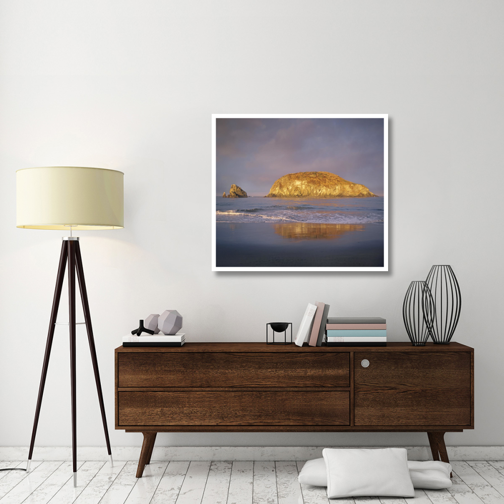 Island, Harris Beach State Park, Oregon-Paper Art-42&quotx37.6"