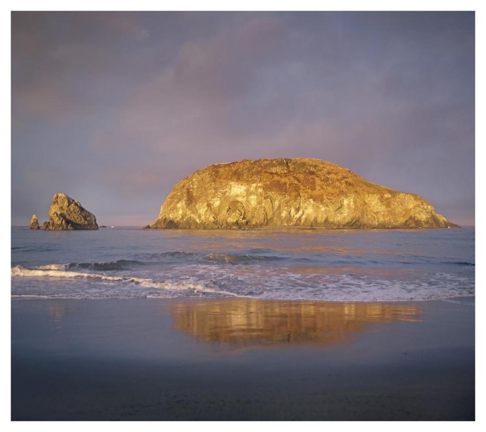 Island, Harris Beach State Park, Oregon-Paper Art-46"x41.16"