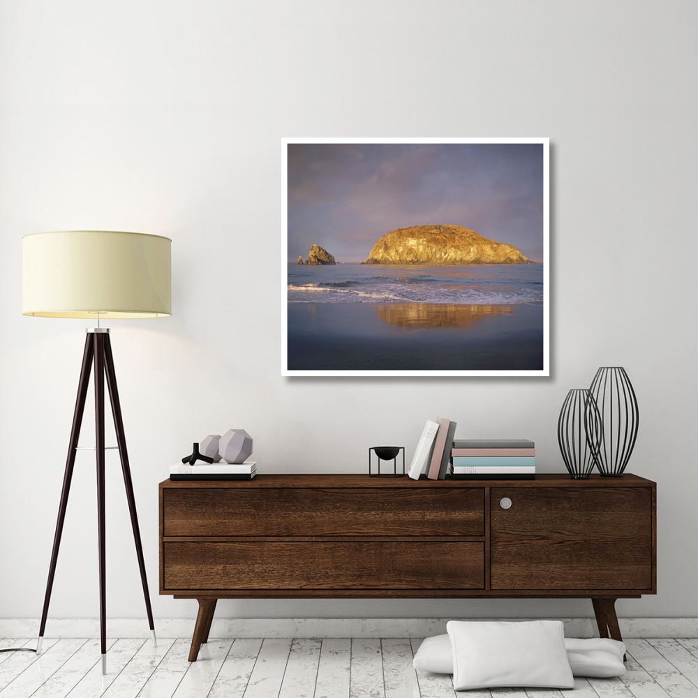 Island, Harris Beach State Park, Oregon-Paper Art-46&quotx41.16"
