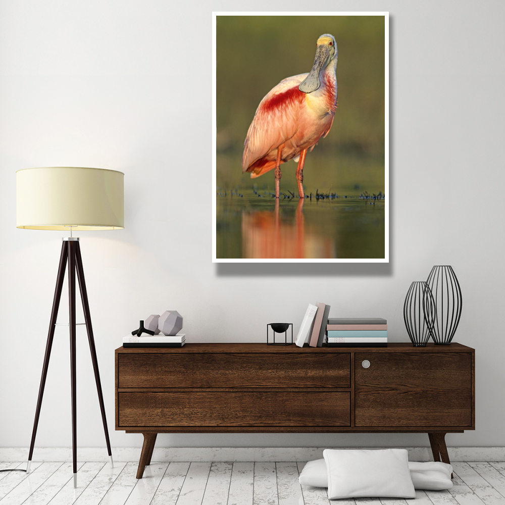 Roseate Spoonbill wading, North America-Paper Art-42&quotx62"