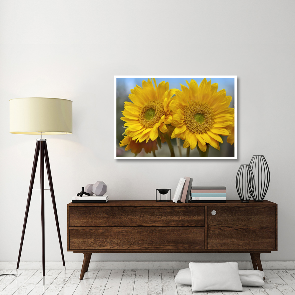 Common Sunflower flowers, North America-Paper Art-50&quotx34"