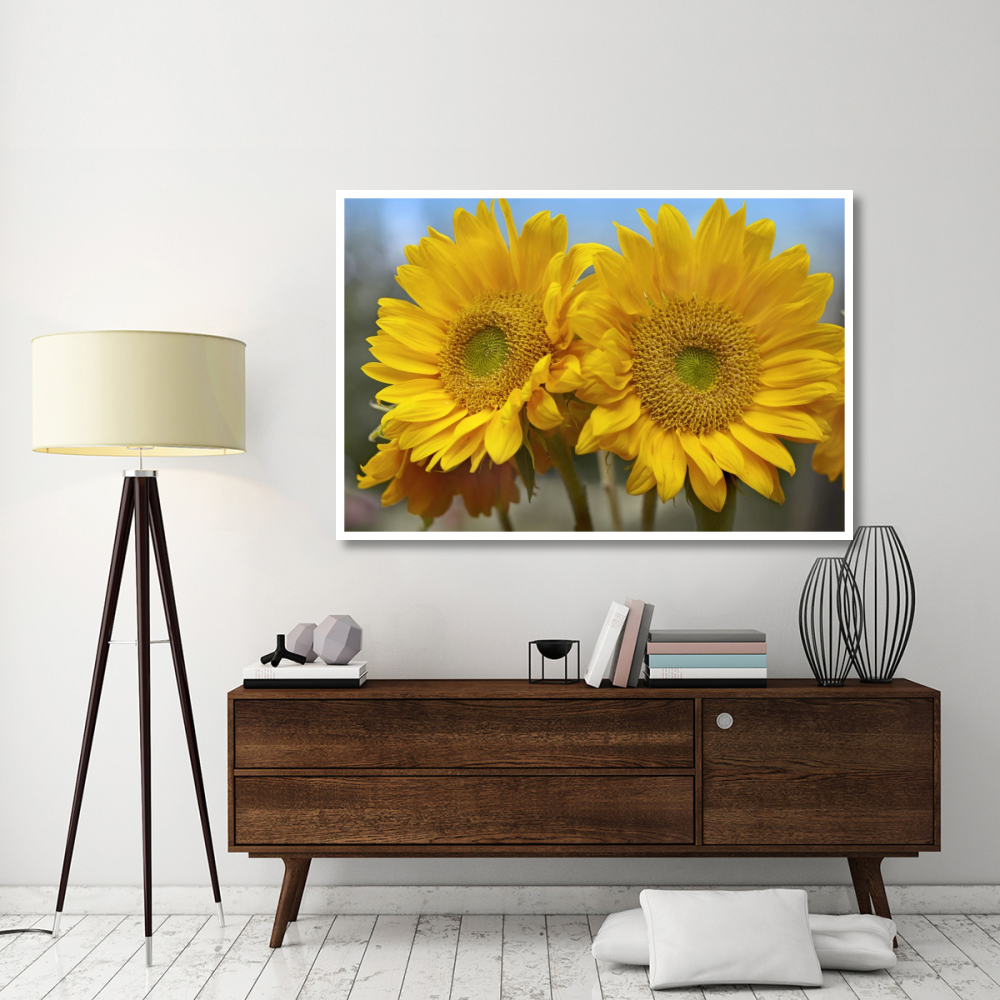 Common Sunflower flowers, North America-Paper Art-62&quotx42"