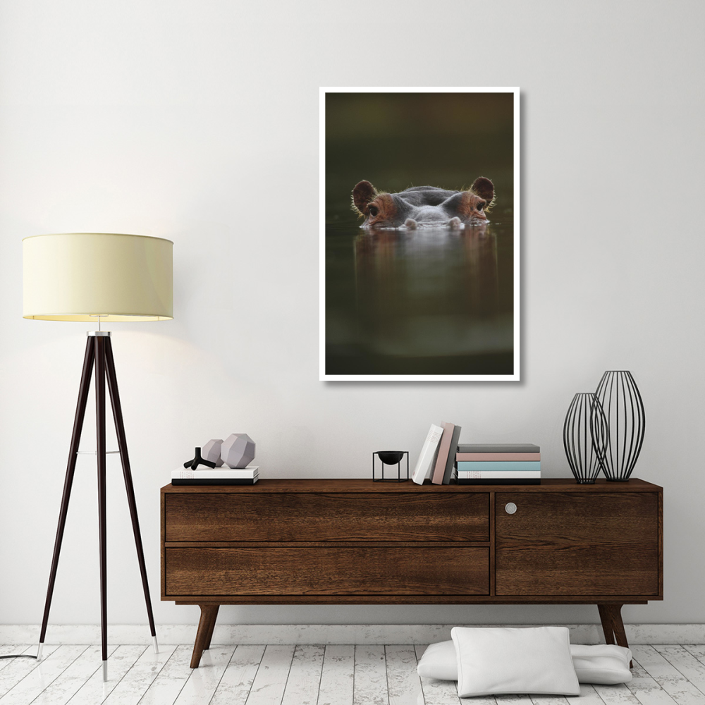 Hippopotamus at water surface, Tanzania-Paper Art-34&quotx50"