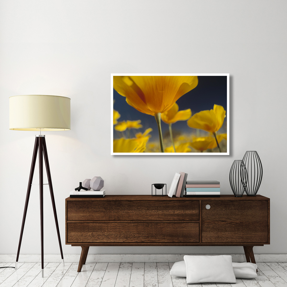 Mexican Golden Poppy detail, New Mexico-Paper Art-50&quotx34"