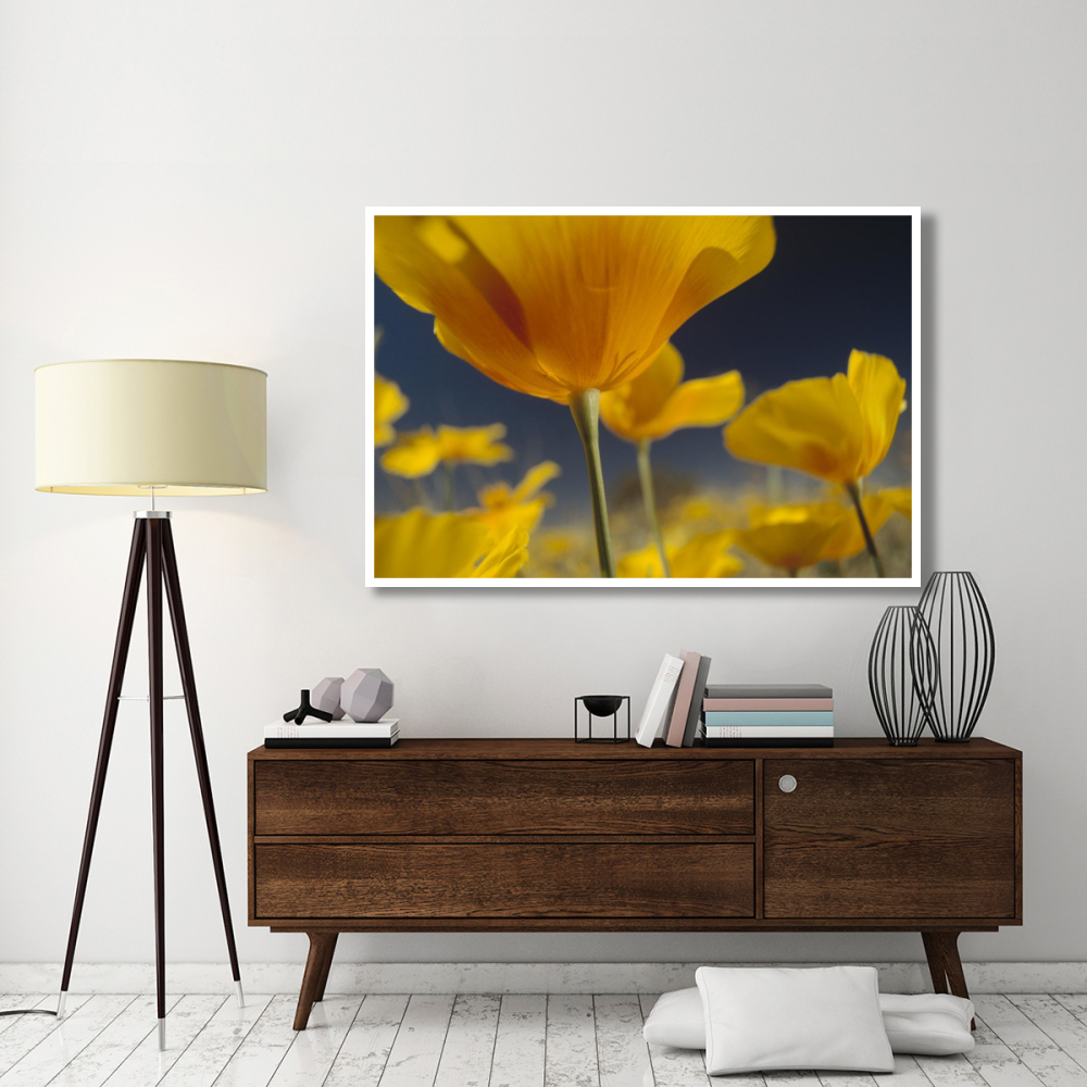 Mexican Golden Poppy detail, New Mexico-Paper Art-62&quotx42"