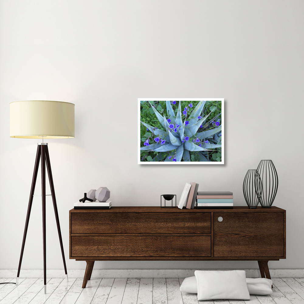 Desert Bluebell and Agave North America-Paper Art-34&quotx26"