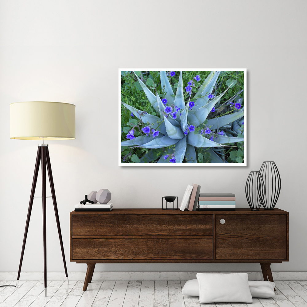Desert Bluebell and Agave North America-Paper Art-50&quotx38"