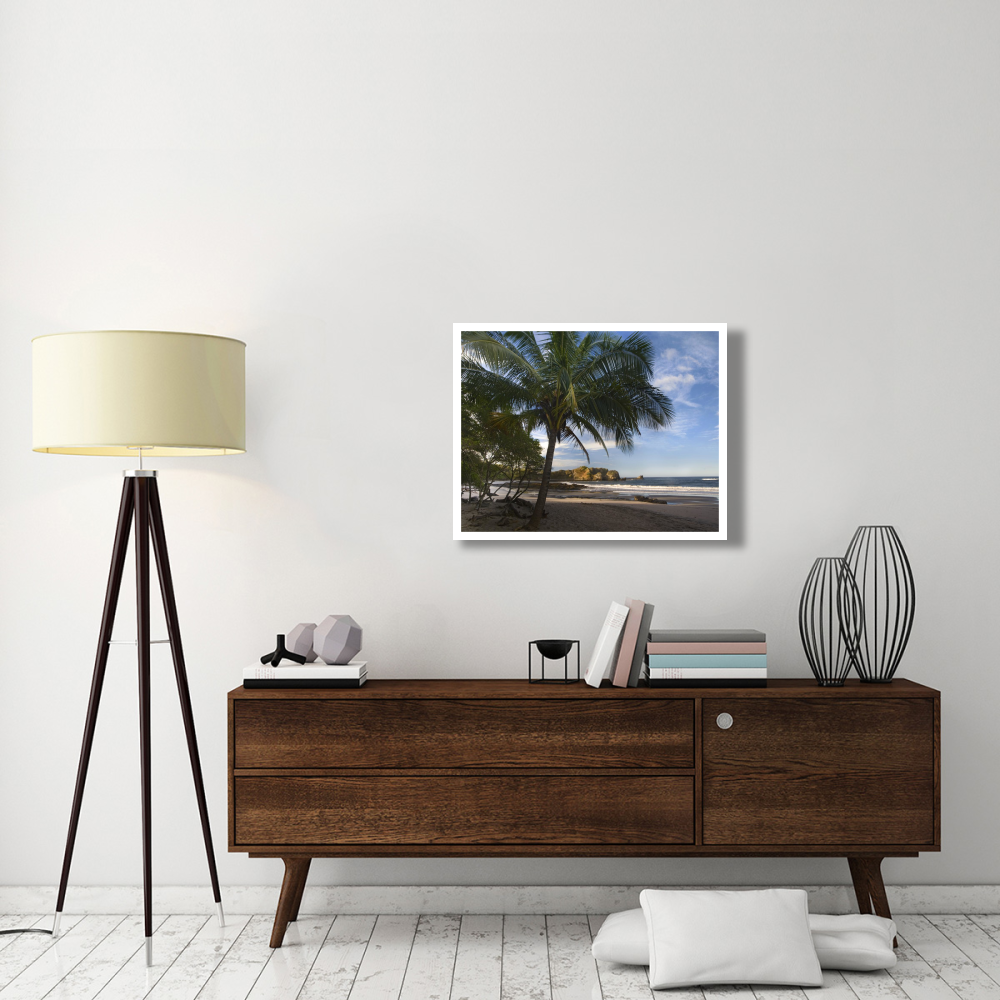 Palm trees line Pelada Beach, Costa Rica-Paper Art-34&quotx26"
