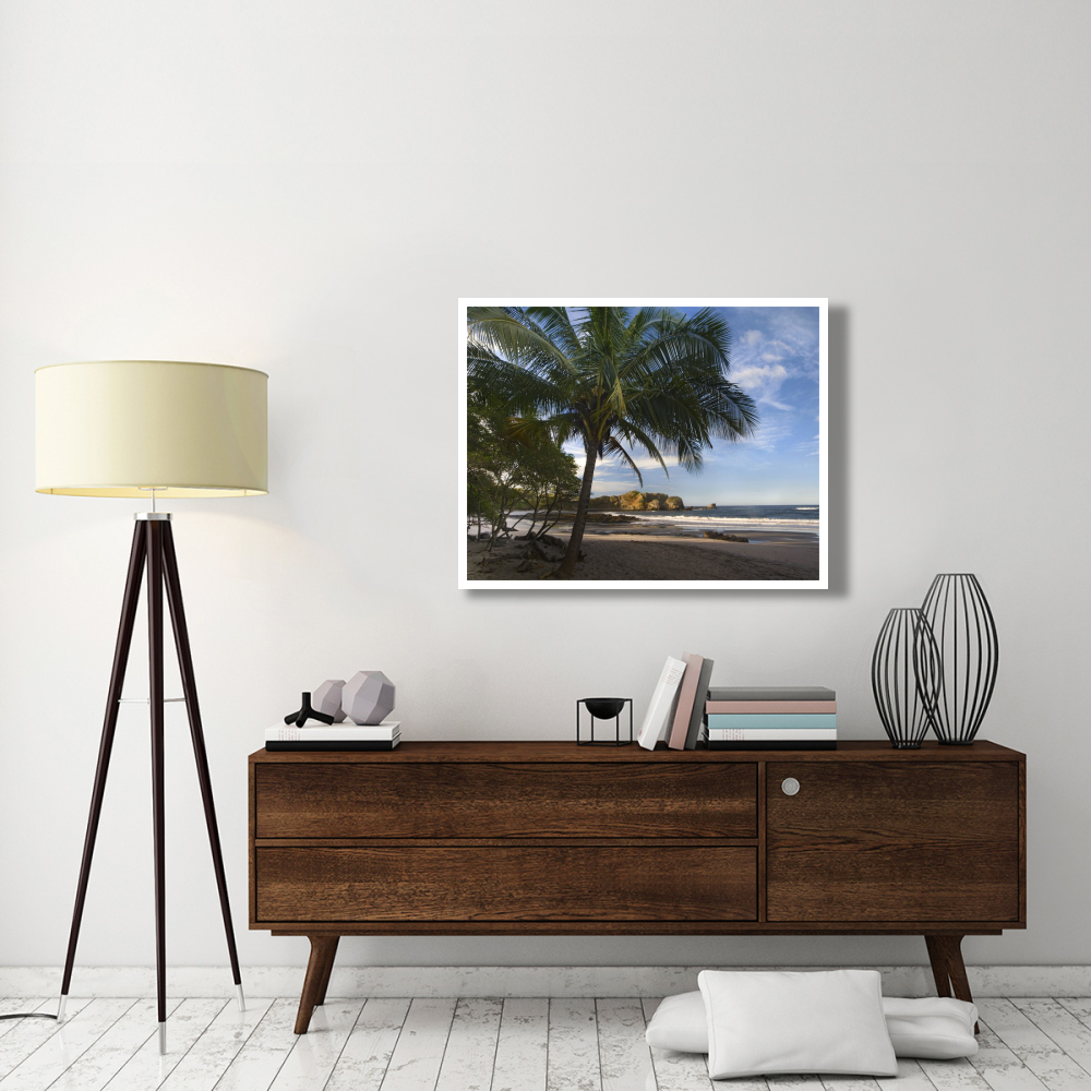 Palm trees line Pelada Beach, Costa Rica-Paper Art-42&quotx32"