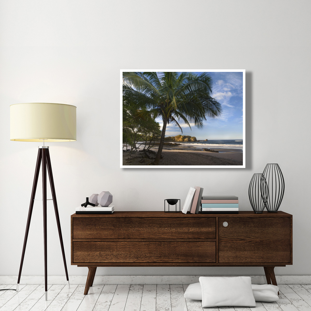 Palm trees line Pelada Beach, Costa Rica-Paper Art-50&quotx38"