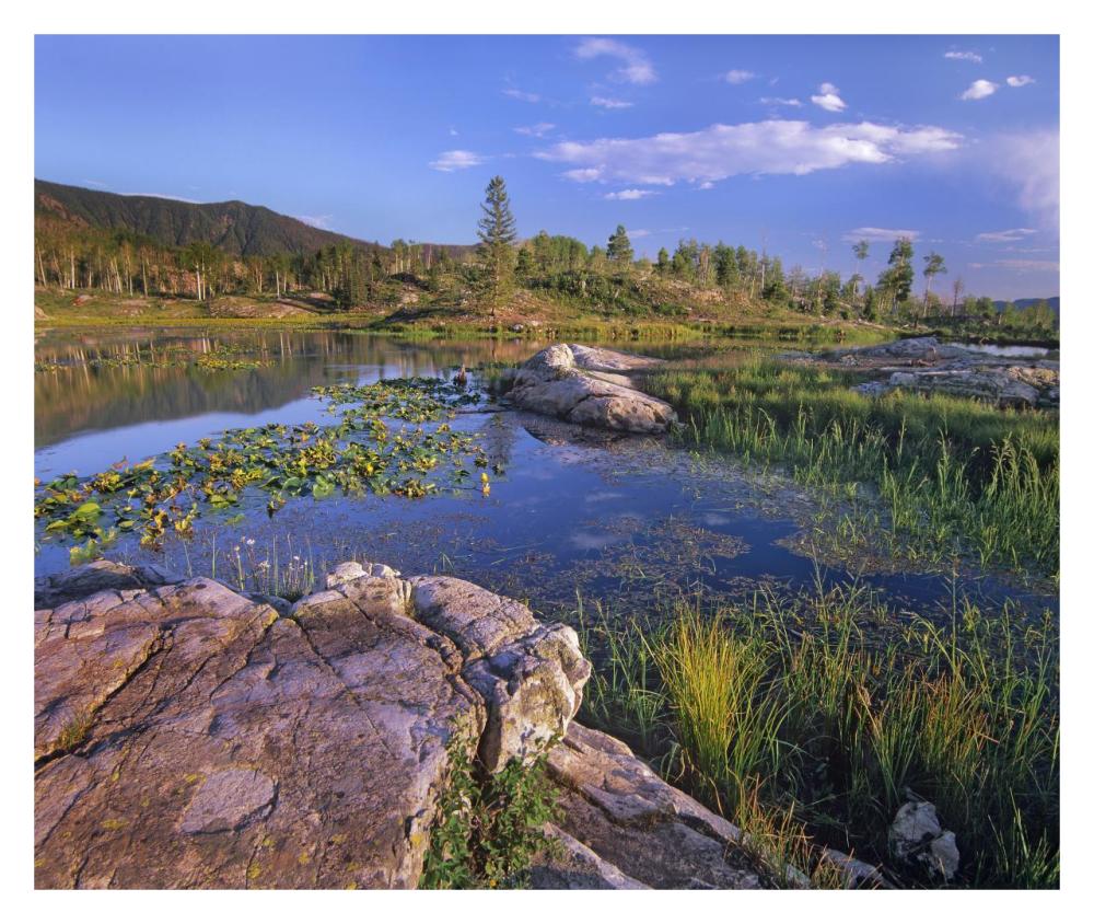 Scout Lake, San Juan Mountains, Colorado-Paper Art-32"x26.9"