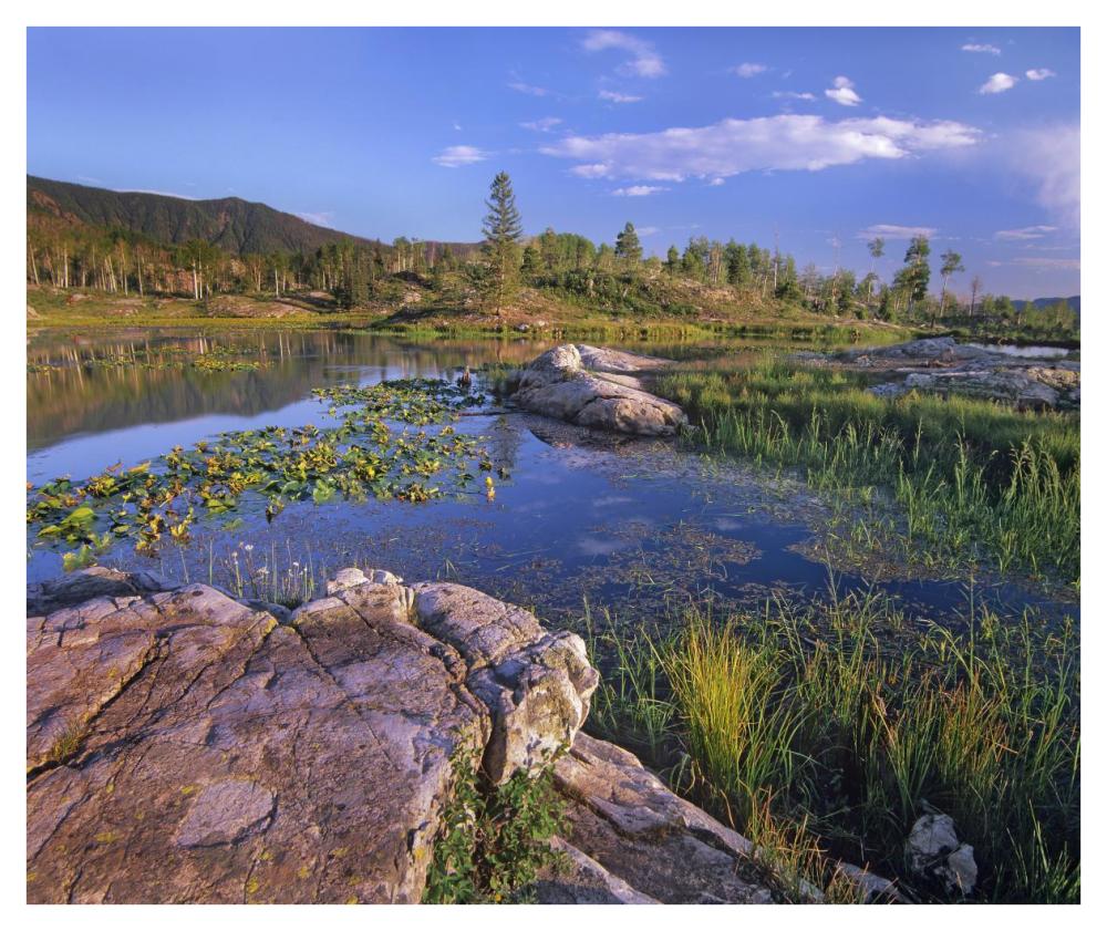 Scout Lake, San Juan Mountains, Colorado-Paper Art-42"x35.2"
