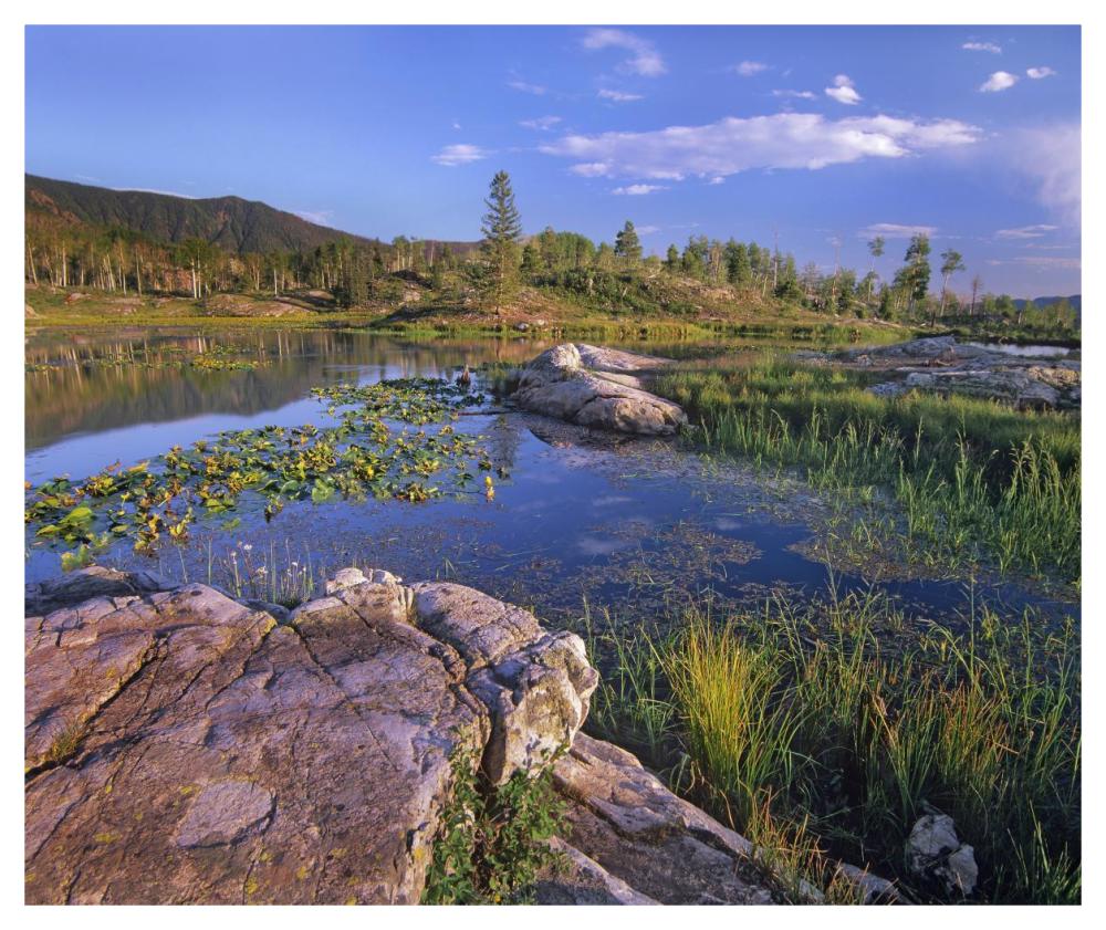 Scout Lake, San Juan Mountains, Colorado-Paper Art-46"x38.52"