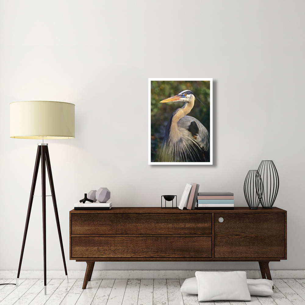 Great Blue Heron portrait, North America-Paper Art-26&quotx34"