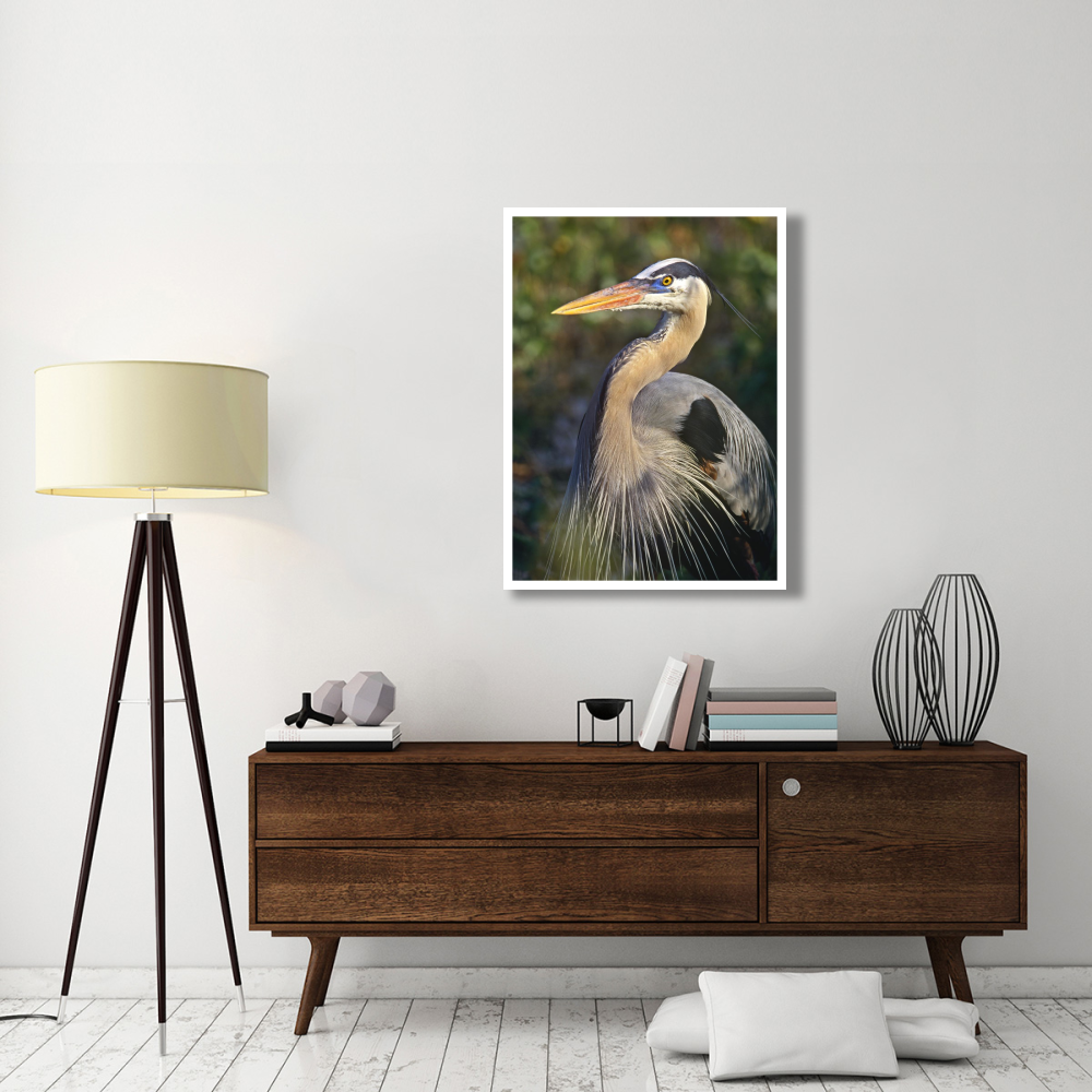 Great Blue Heron portrait, North America-Paper Art-32&quotx42"