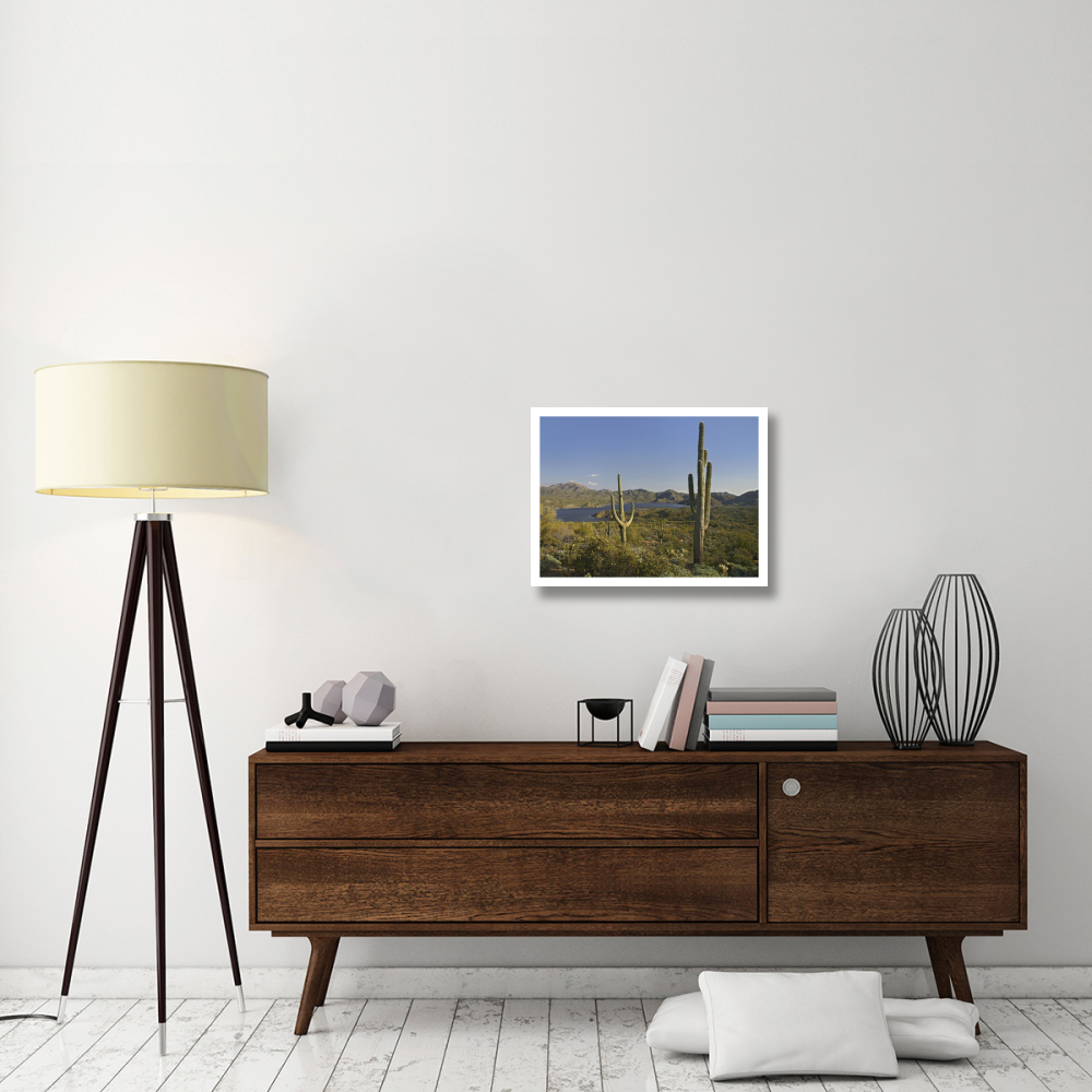 Saguaro cactus at Bartlett Lake, Arizona-Paper Art-26&quotx20"