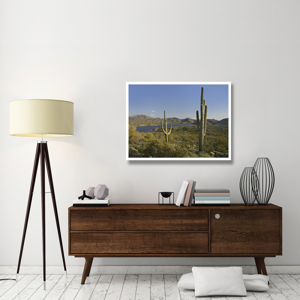 Saguaro cactus at Bartlett Lake, Arizona-Paper Art-42&quotx32"
