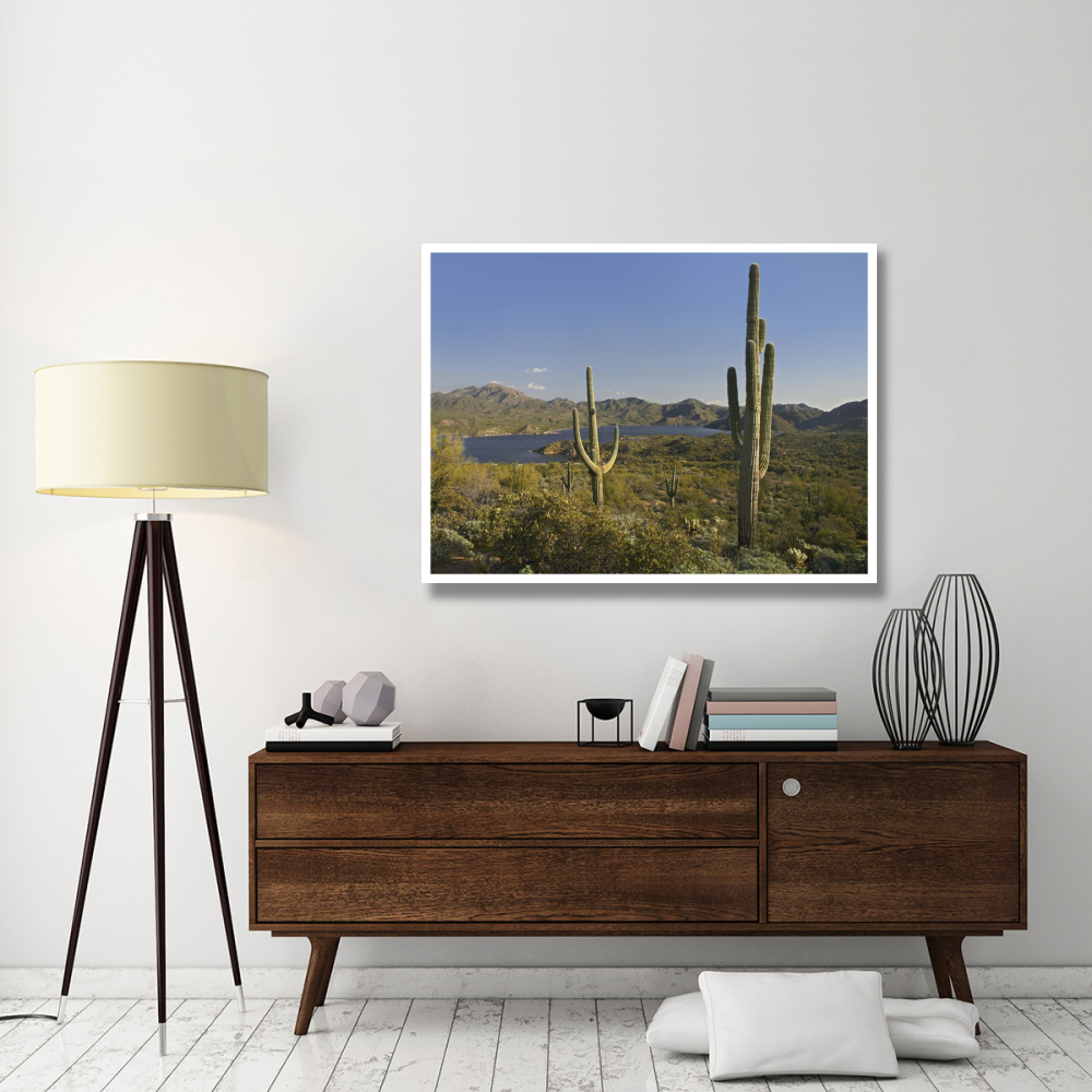 Saguaro cactus at Bartlett Lake, Arizona-Paper Art-50&quotx38"