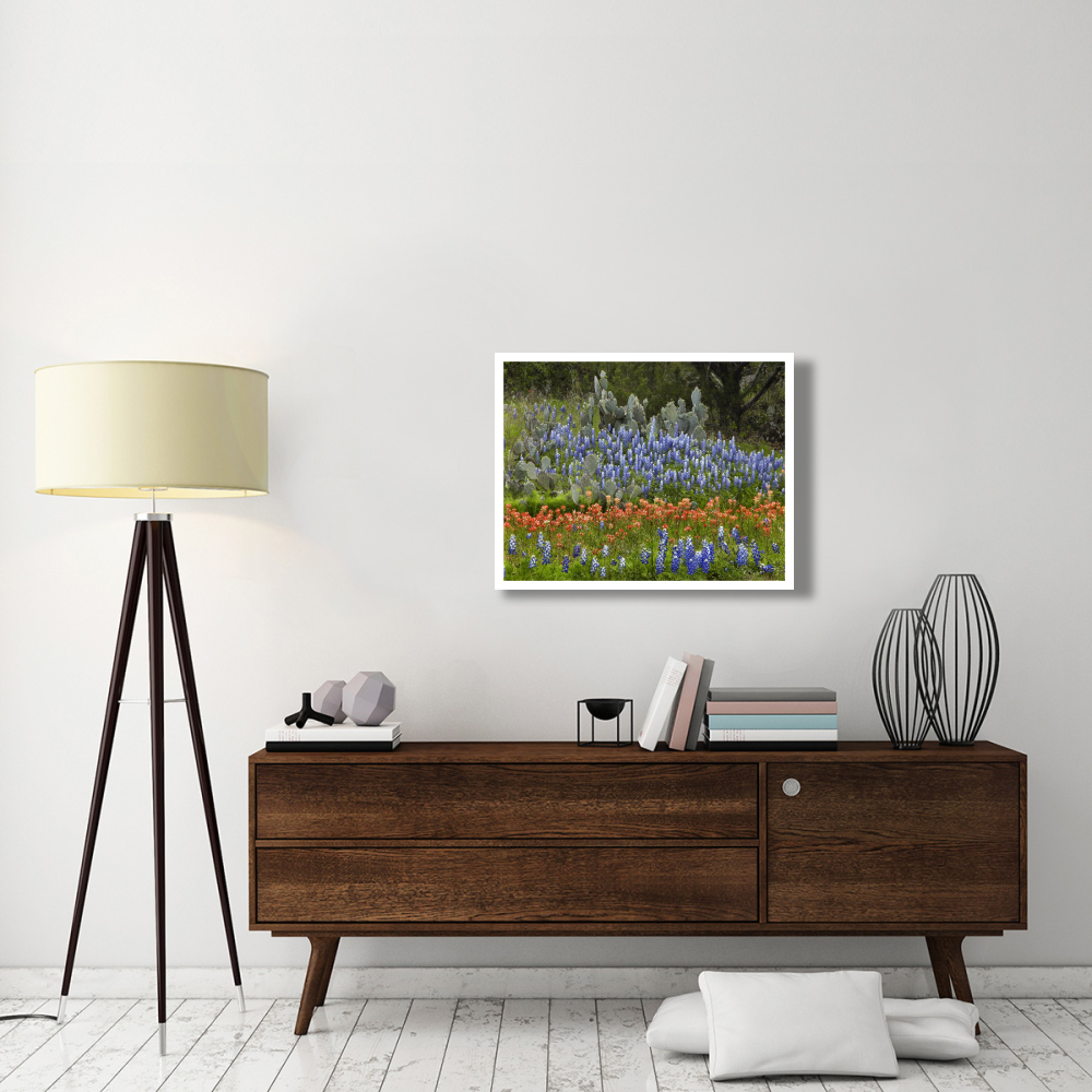 Bluebonnet and Pricky Pear cactus, Texas-Paper Art-34&quotx26"