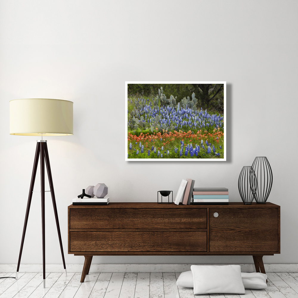 Bluebonnet and Pricky Pear cactus, Texas-Paper Art-42&quotx32"