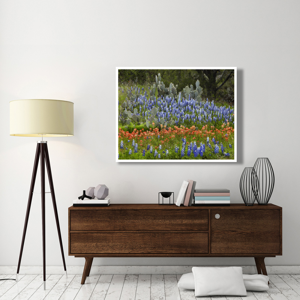 Bluebonnet and Pricky Pear cactus, Texas-Paper Art-50&quotx38"