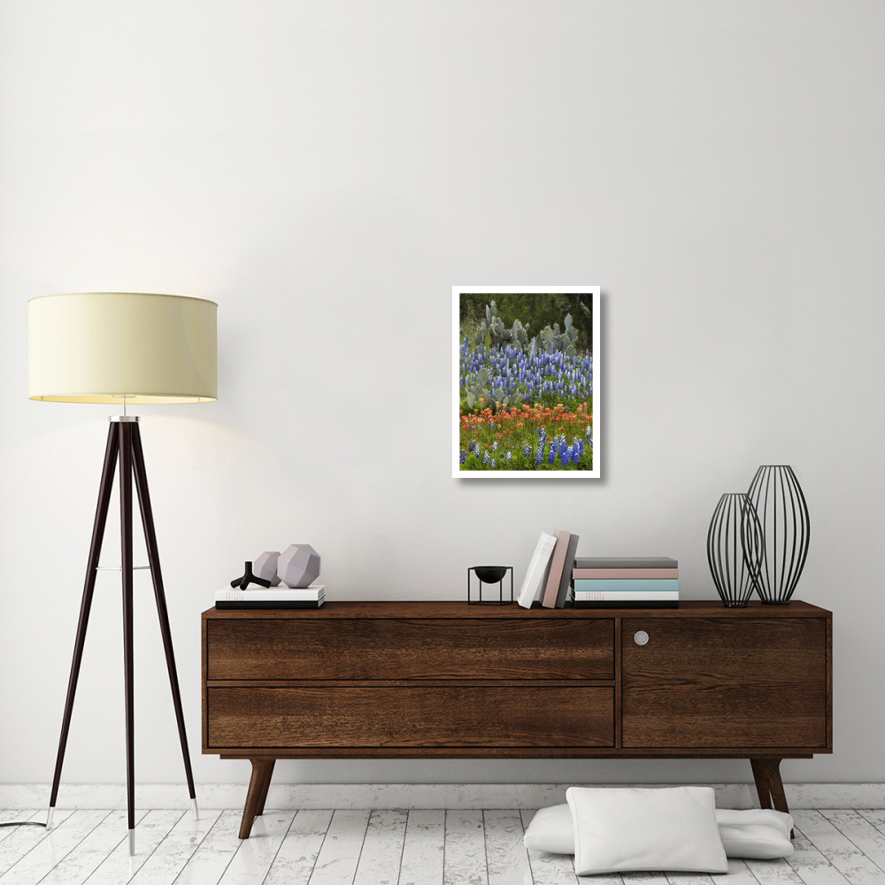 Bluebonnet and Pricky Pear cactus, Texas-Paper Art-20&quotx26"