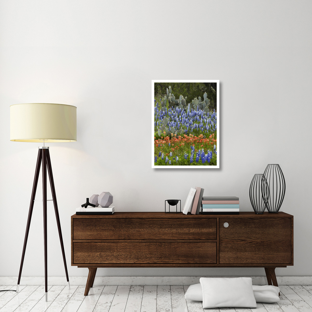 Bluebonnet and Pricky Pear cactus, Texas-Paper Art-26&quotx34"