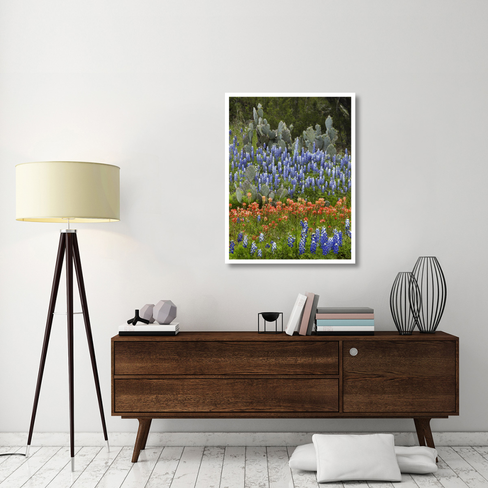 Bluebonnet and Pricky Pear cactus, Texas-Paper Art-32&quotx42"