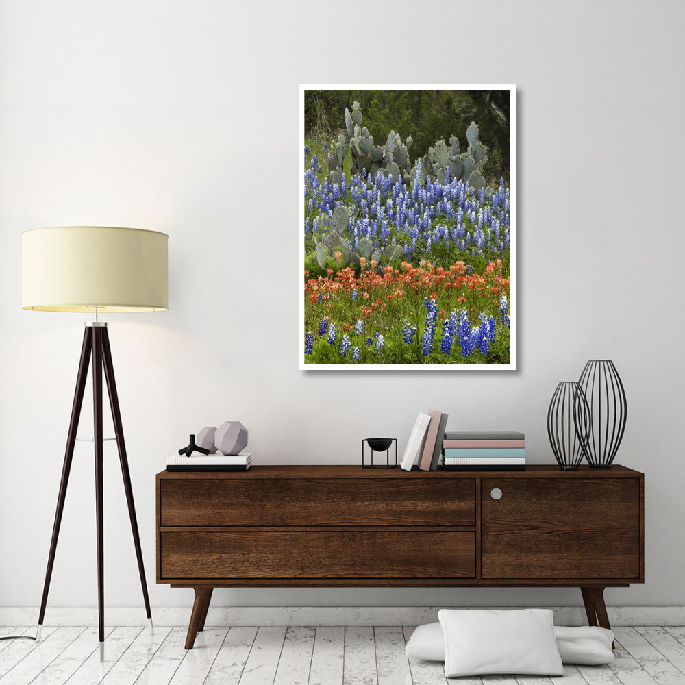 Bluebonnet and Pricky Pear cactus, Texas-Paper Art-38&quotx50"