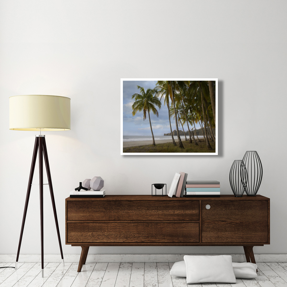 Palm trees line Carillo Beach, Costa Rica-Paper Art-42&quotx32"